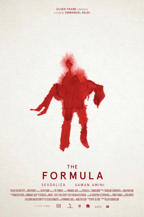 The Formula film afişi