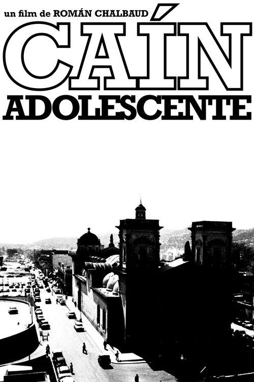 Young Cain film afişi