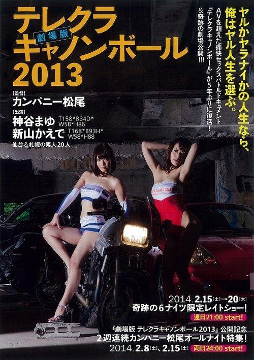 The Sex Cannon Ball Run 2013 film afişi