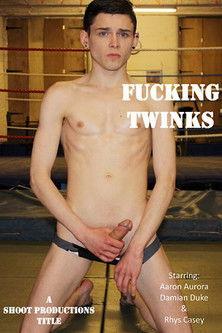 Fucking Twinks film afişi