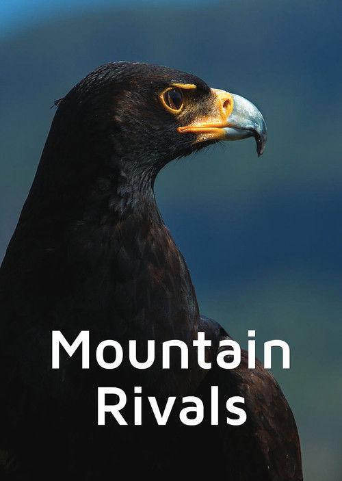 Mountain Rivals film afişi