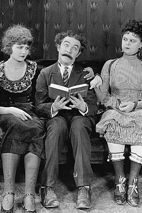 Astray from the Steerage film afişi