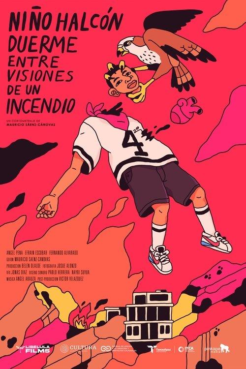 Hawk Boy Sleeps Amidst Visions of a Fire film afişi