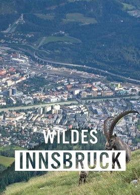 Wildes Innsbruck: Zwischen Moderne und alpiner Wildnis film afişi