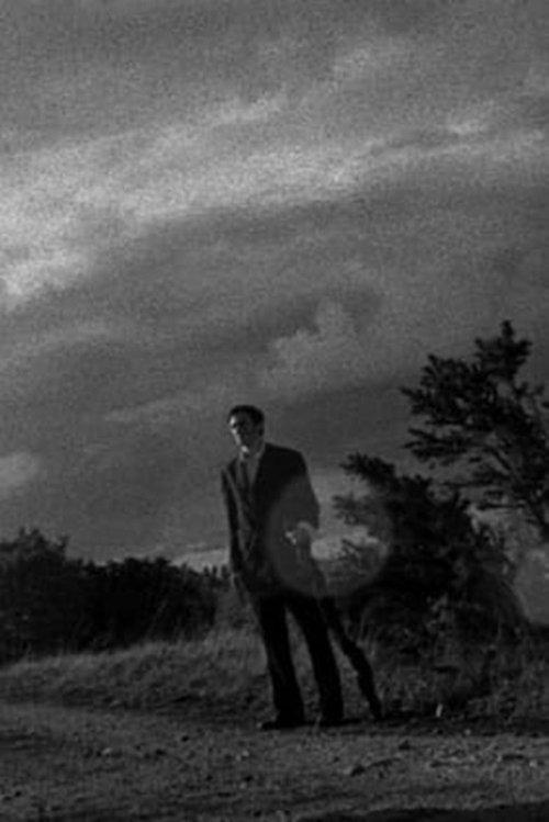 The Door Ajar film afişi