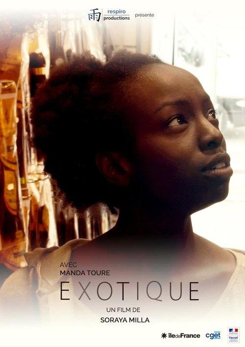 Exotique film afişi