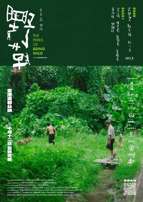 The Perks of Being Wild film afişi