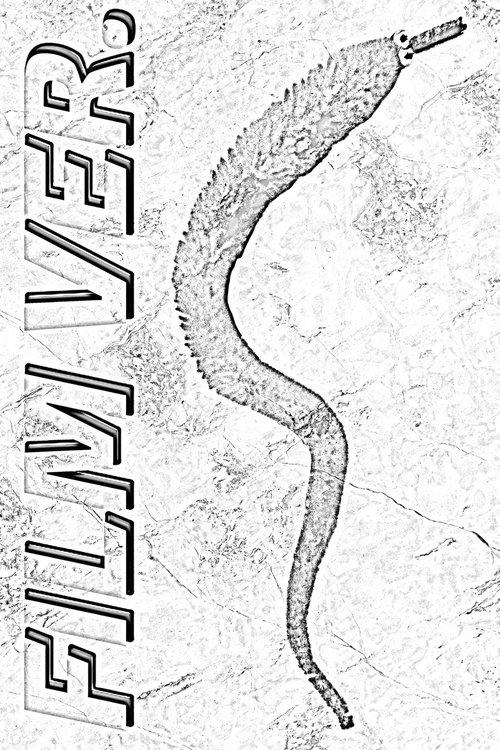 WORM FILM. film afişi