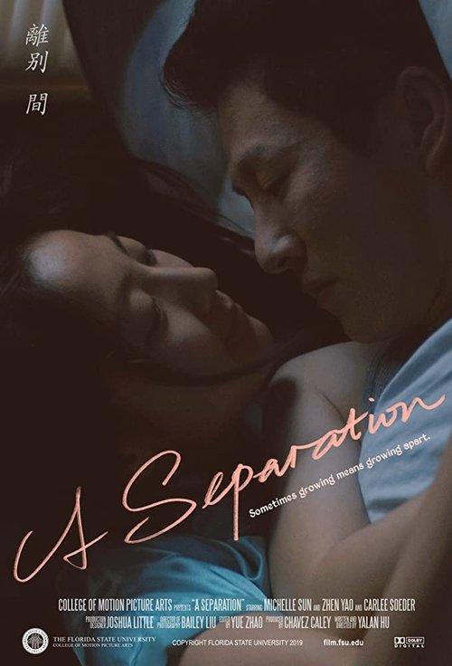 A Separation film afişi