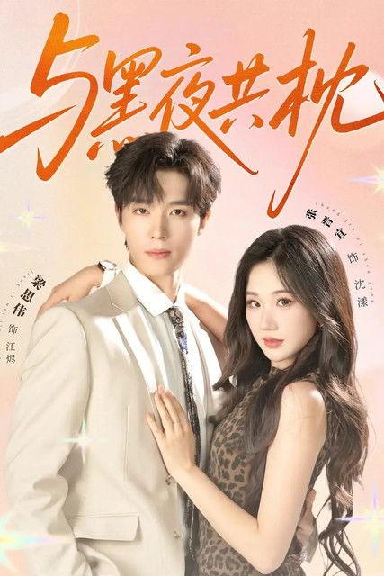 与黑夜共枕 dizi afişi