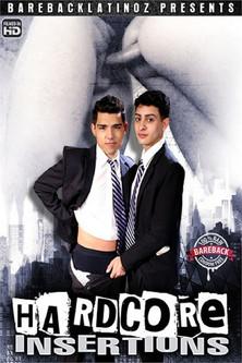 Hardcore Insertions film afişi