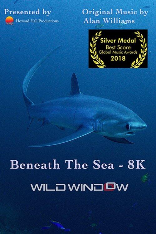 Wild Window: Beneath the Sea film afişi