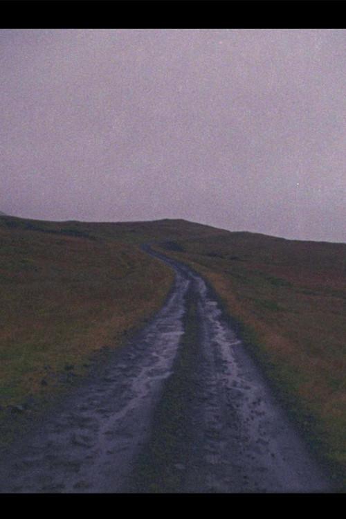 mtDNA 1Ce hg film afişi