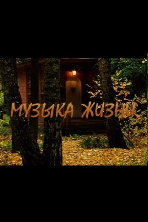 The Music of Life film afişi