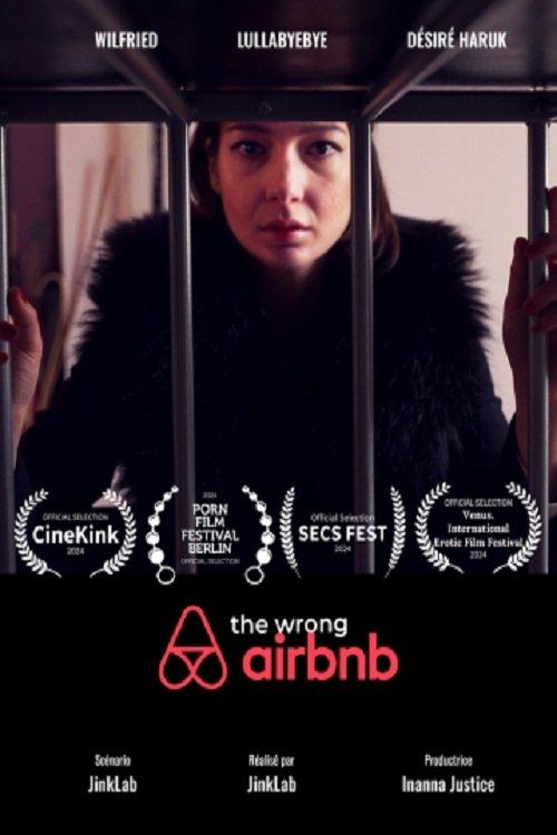 The Wrong Airbnb film afişi
