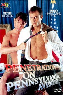 Penetration on Pennsylvania Avenue film afişi