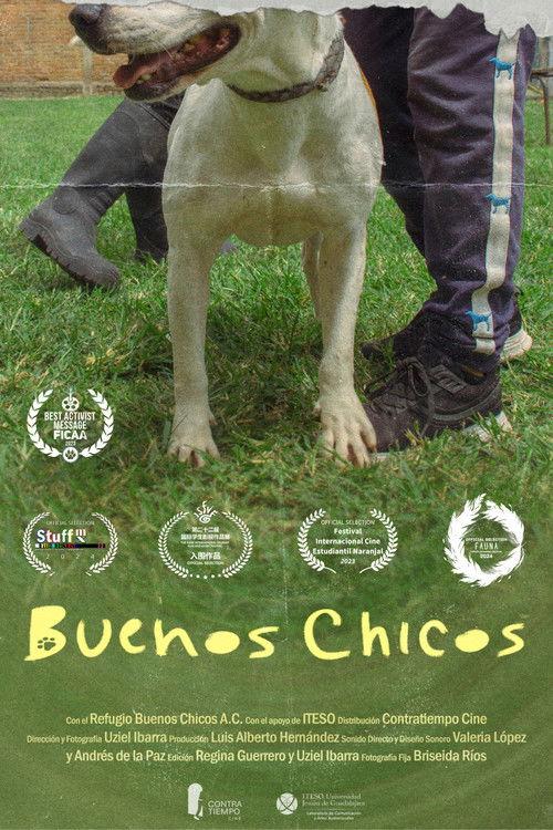 Buenos Chicos film afişi