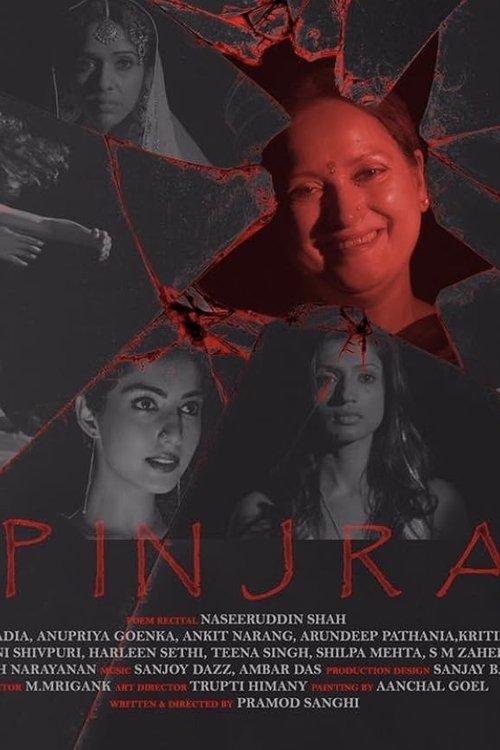 The Cage film afişi