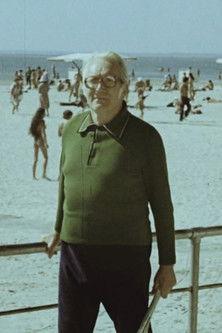 Aedniku suvi film afişi