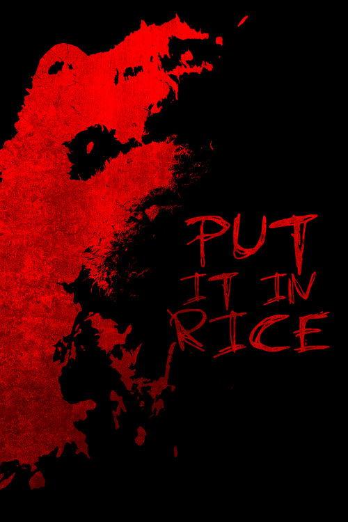Put It In Rice film afişi