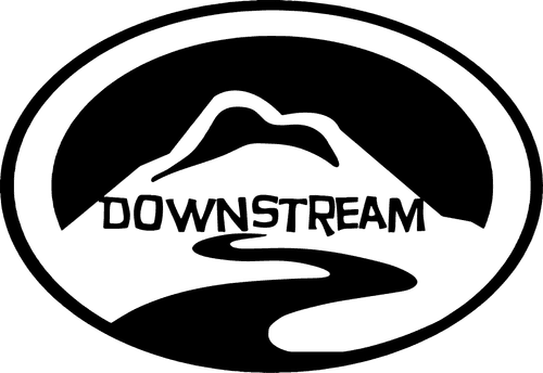 A Dreamer's Search logo