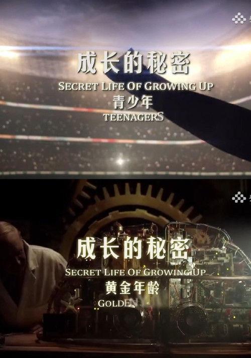 Secret life of growing up dizi afişi