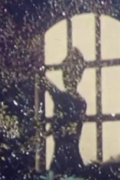 The Portrait of Cordua film afişi