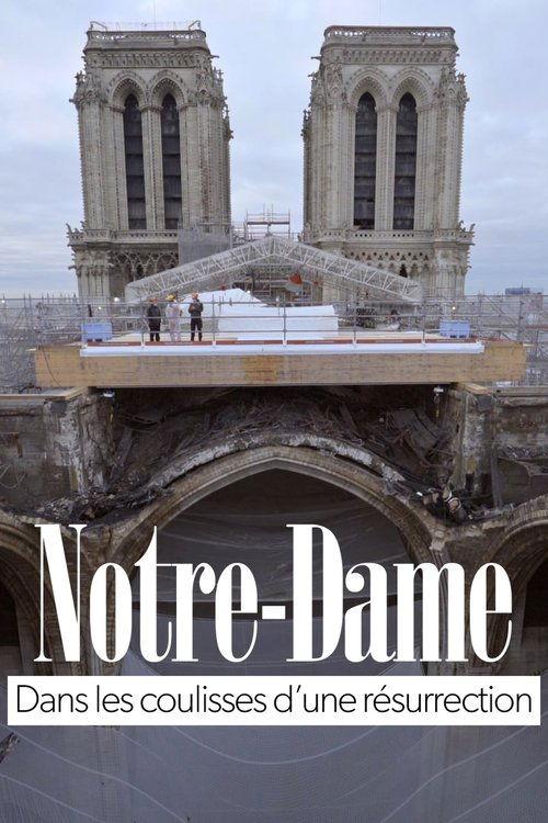 Notre-Dame of Paris, Rising from the Ashes film afişi