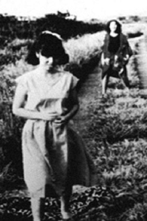 Imitation Interior film afişi