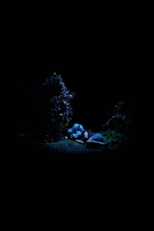 Blue Flowers film afişi