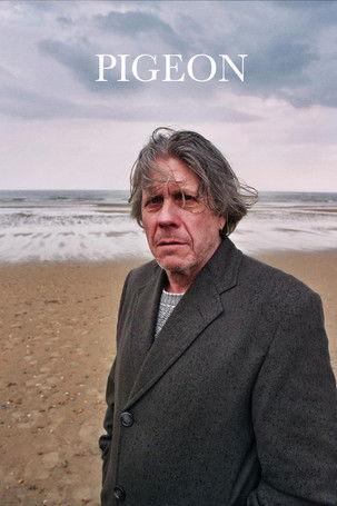 Pigeon film afişi