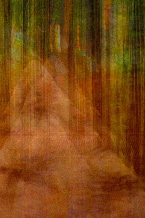 Nett av bortkomne inntrykk film afişi