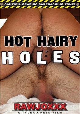 Hot Hairy Holes film afişi