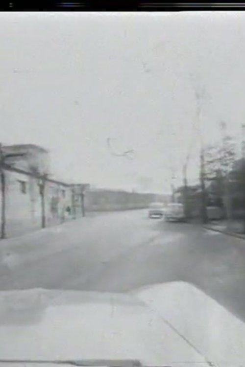 Zavoli incontra Basaglia: I giardini di Abele film afişi