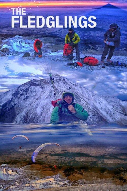 The Fledglings film afişi
