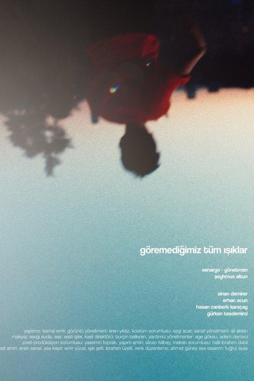 All the Light We Cannot See film afişi