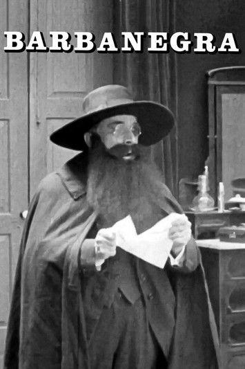 Barbanegra film afişi