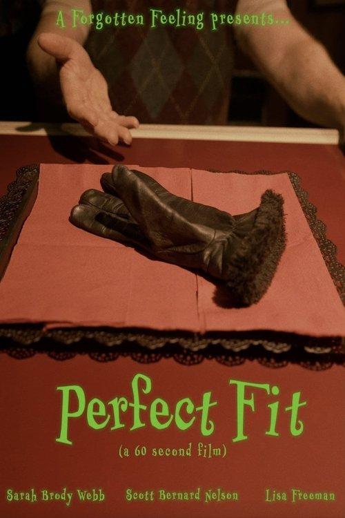 Perfect Fit film afişi