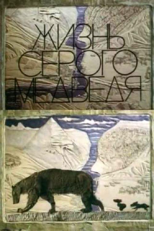 The Life Of A Grey Bear film afişi