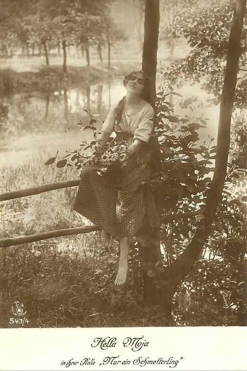 Nur ein Schmetterling film afişi