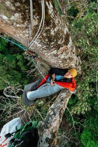 Canopy Climbers film afişi