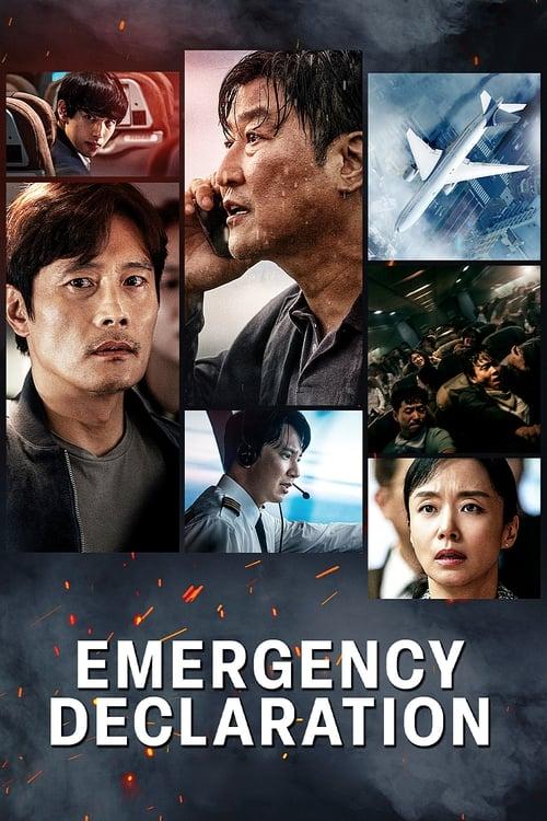 Emergency Declaration film afişi