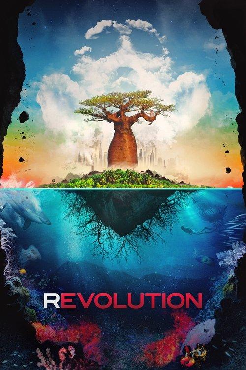 Revolution film afişi