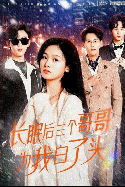 长眠后三个哥哥为我白了头 dizi afişi