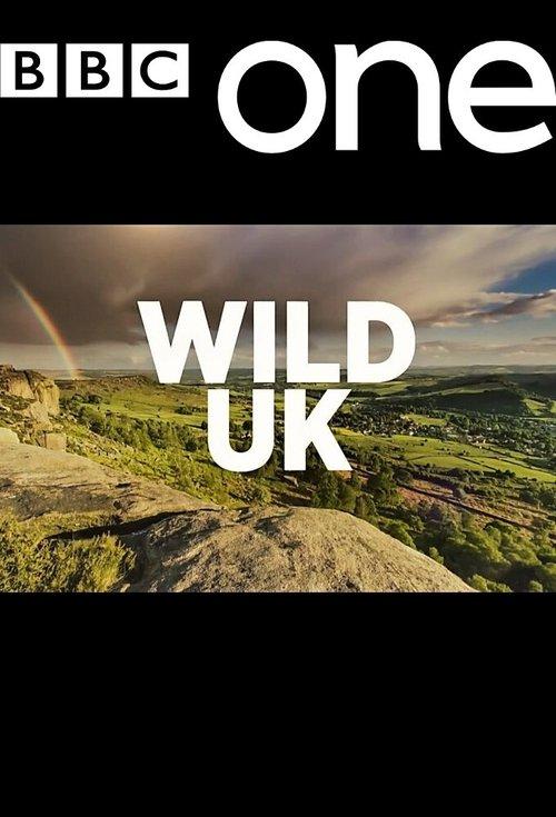 Wild UK dizi afişi