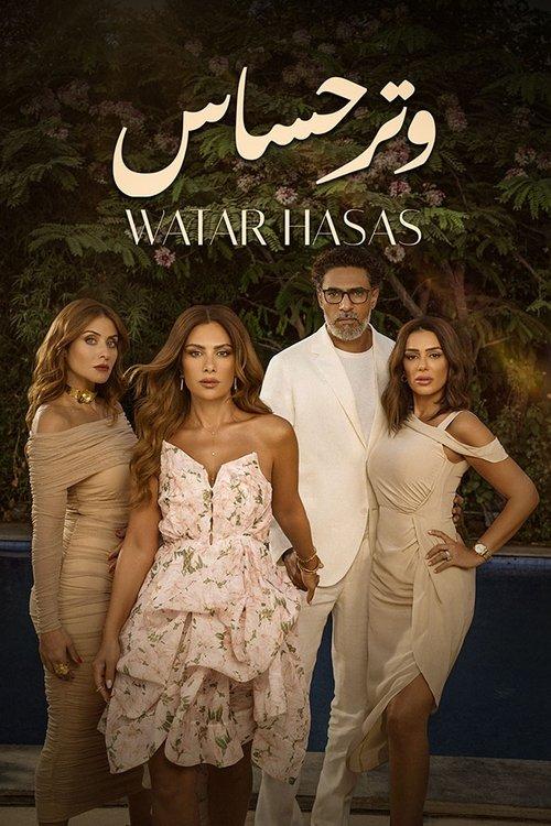 Sensitive Chord dizi afişi