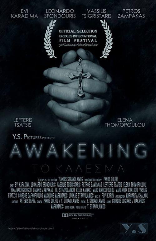 Awakening film afişi