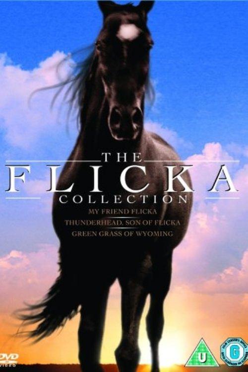 The Flicka Collection koleksiyon afişi