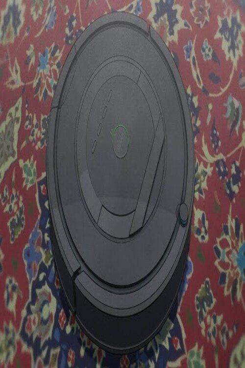 I Am A Robot film afişi