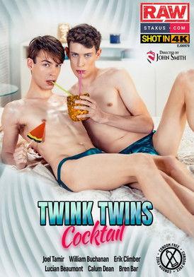 Twink Twins Cocktail film afişi